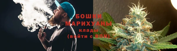 гашик Переславль-Залесский