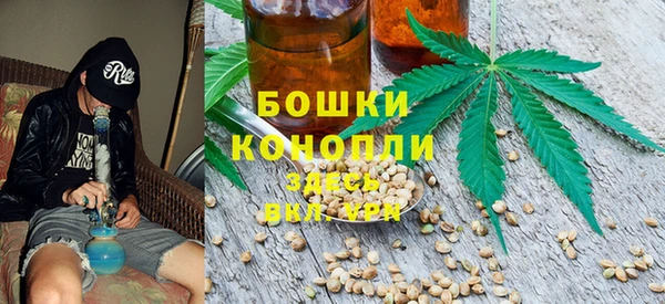 гашик Переславль-Залесский