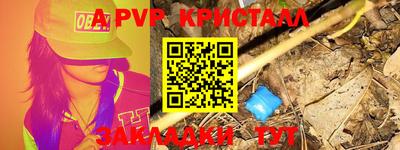 спиды Берёзовский